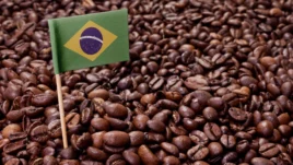 brazil-specialty-coffee_2240x